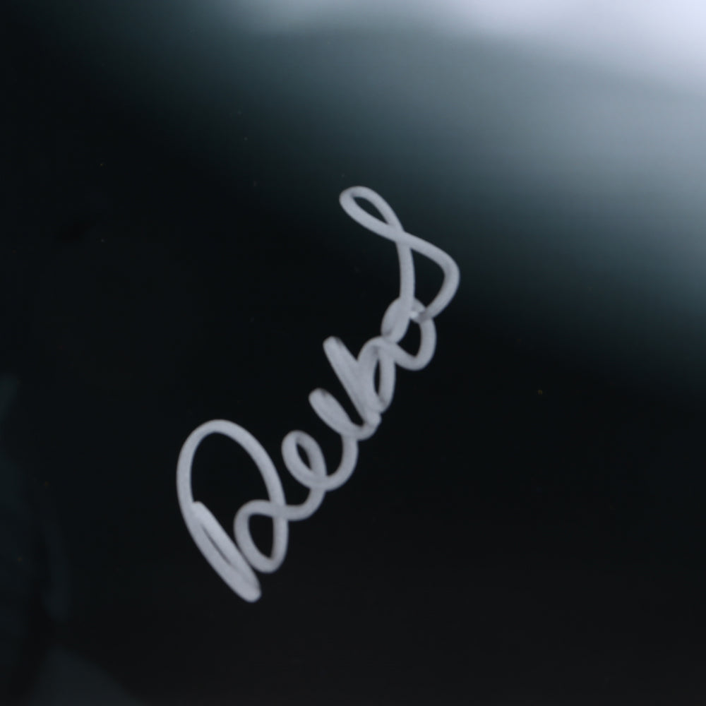 Deebo Samuel Signed 49ers 16x20 Photo (#3)