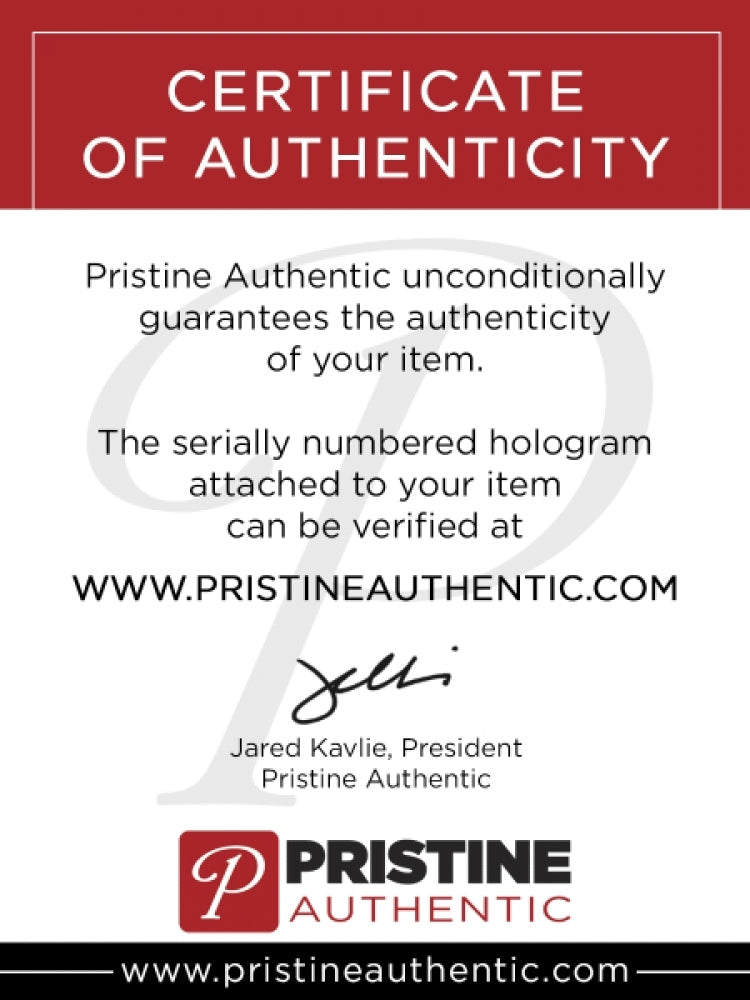 Megan Rapinoe Team USA Limited Edition 11x14 Print (Pristine Authentic COA)