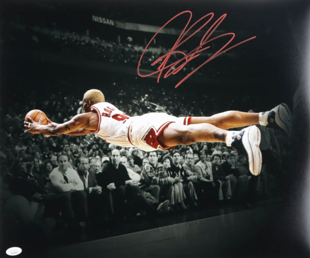 Dennis Rodman Signed Bulls 16x20 Photo (JSA)